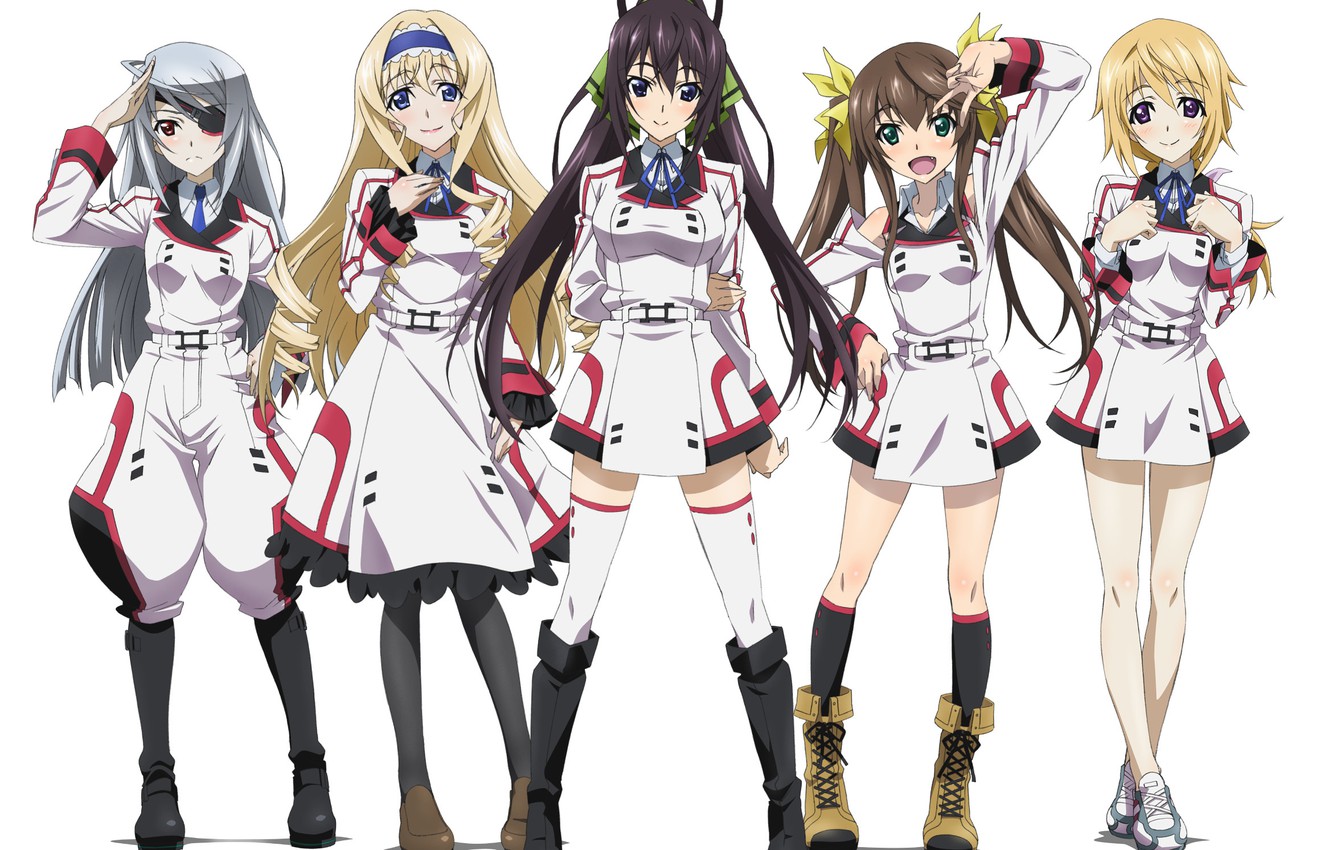 IS: Infinite Stratos 2 - Infinite Wedding 