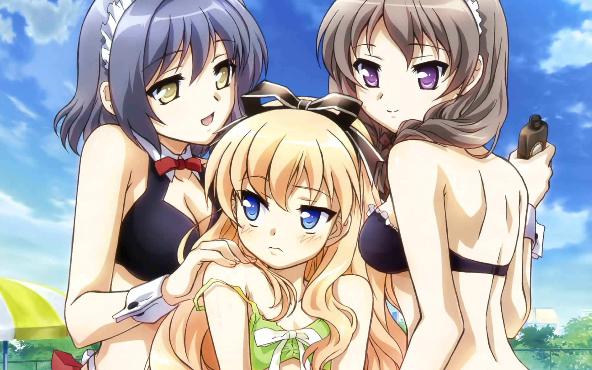 Mayoi Neko Overrun Watch Order Chiaki Site